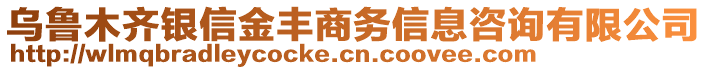 烏魯木齊銀信金豐商務(wù)信息咨詢有限公司