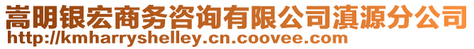 嵩明銀宏商務咨詢有限公司滇源分公司