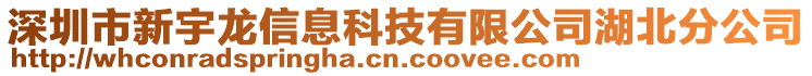 深圳市新宇龍信息科技有限公司湖北分公司