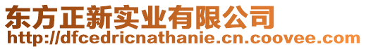 東方正新實業有限公司