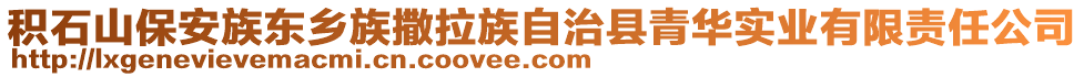 積石山保安族東鄉(xiāng)族撒拉族自治縣青華實業(yè)有限責(zé)任公司