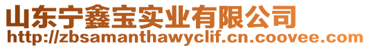 山東寧鑫寶實(shí)業(yè)有限公司