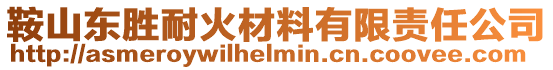 鞍山東勝耐火材料有限責(zé)任公司