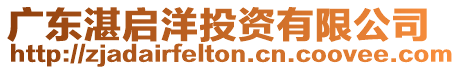 廣東湛啟洋投資有限公司