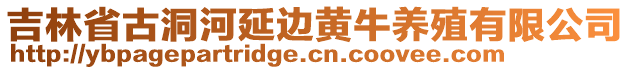 吉林省古洞河延邊黃牛養(yǎng)殖有限公司