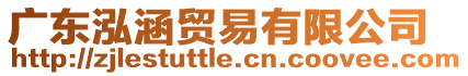 廣東泓涵貿易有限公司