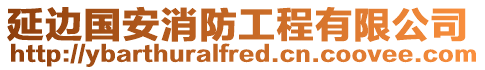 延邊國安消防工程有限公司