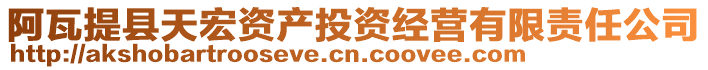 阿瓦提縣天宏資產(chǎn)投資經(jīng)營有限責任公司