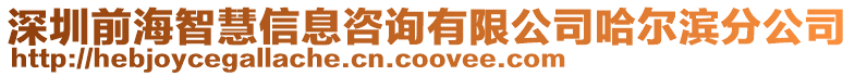 深圳前海智慧信息咨詢有限公司哈爾濱分公司