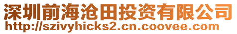 深圳前海滄田投資有限公司