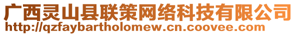 廣西靈山縣聯(lián)策網(wǎng)絡(luò)科技有限公司