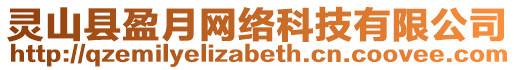 靈山縣盈月網(wǎng)絡(luò)科技有限公司