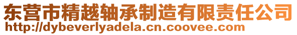 東營市精越軸承制造有限責(zé)任公司