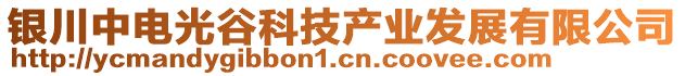 銀川中電光谷科技產(chǎn)業(yè)發(fā)展有限公司