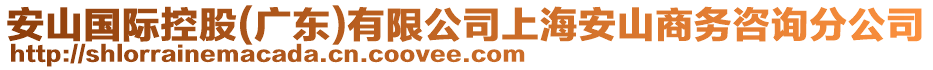 安山國際控股(廣東)有限公司上海安山商務咨詢分公司