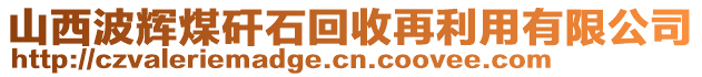 山西波輝煤矸石回收再利用有限公司