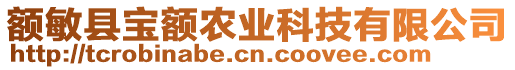 額敏縣寶額農(nóng)業(yè)科技有限公司