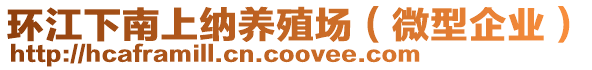 環(huán)江下南上納養(yǎng)殖場（微型企業(yè)）