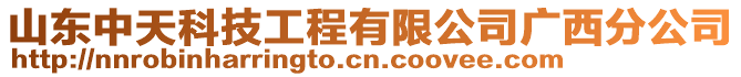 山東中天科技工程有限公司廣西分公司