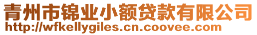 青州市錦業(yè)小額貸款有限公司