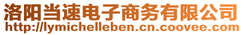 洛陽當(dāng)速電子商務(wù)有限公司