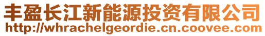 豐盈長江新能源投資有限公司