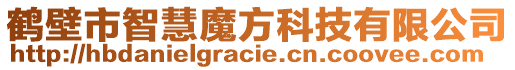 鶴壁市智慧魔方科技有限公司