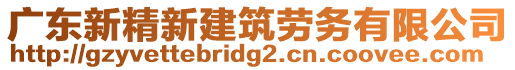 廣東新精新建筑勞務(wù)有限公司