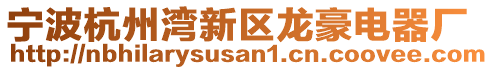 寧波杭州灣新區(qū)龍豪電器廠