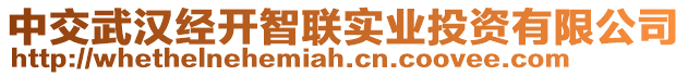 中交武漢經開智聯(lián)實業(yè)投資有限公司