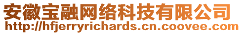 安徽寶融網(wǎng)絡(luò)科技有限公司