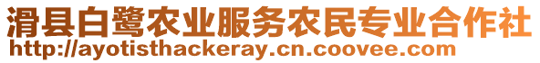 滑縣白鷺農(nóng)業(yè)服務(wù)農(nóng)民專業(yè)合作社