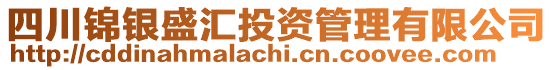 四川錦銀盛匯投資管理有限公司