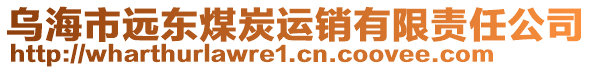 烏海市遠(yuǎn)東煤炭運(yùn)銷有限責(zé)任公司