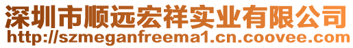 深圳市順遠宏祥實業(yè)有限公司