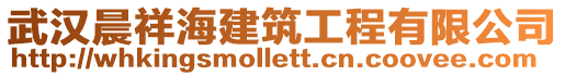 武漢晨祥海建筑工程有限公司