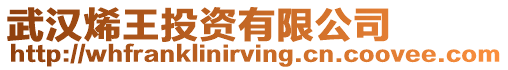 武漢烯王投資有限公司