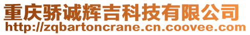 重慶驕誠輝吉科技有限公司