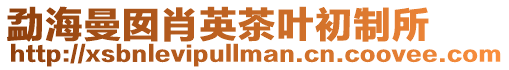 勐海曼囡肖英茶葉初制所