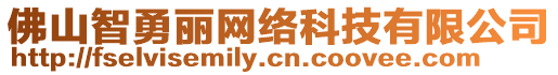 佛山智勇麗網(wǎng)絡(luò)科技有限公司