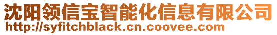 沈陽領(lǐng)信寶智能化信息有限公司