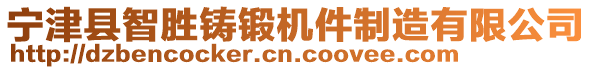 寧津縣智勝鑄鍛機(jī)件制造有限公司