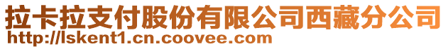 拉卡拉支付股份有限公司西藏分公司