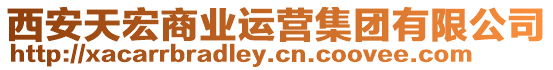 西安天宏商業運營集團有限公司
