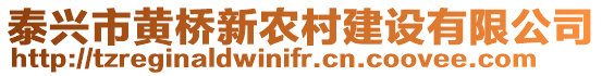 泰興市黃橋新農村建設有限公司