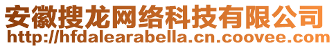 安徽搜龙网络科技有限公司