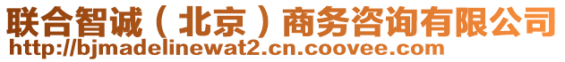 聯(lián)合智誠（北京）商務(wù)咨詢有限公司