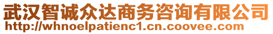 武漢智誠眾達商務(wù)咨詢有限公司