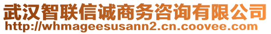 武漢智聯(lián)信誠商務(wù)咨詢有限公司