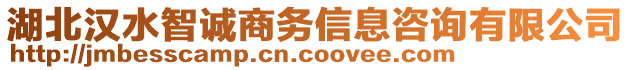 湖北漢水智誠(chéng)商務(wù)信息咨詢有限公司